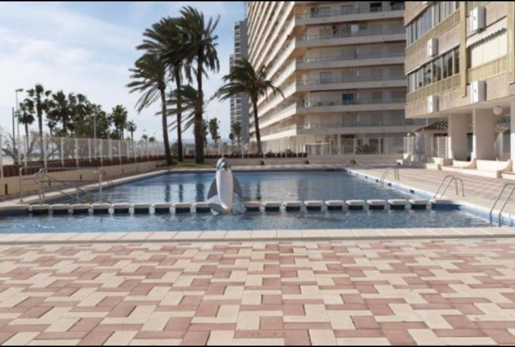 1A Linea Con Piscina Nuevo Lägenhet Cullera Exteriör bild